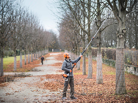 Tronçonneuse sur perche HT 105 - Stihl