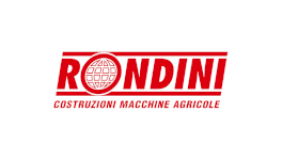 rondini