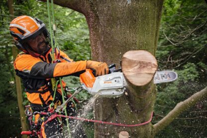 MSA 220 TC-O tronçonneuse d'élagage sur batterie Stihl